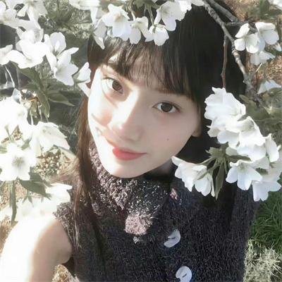 恋姬无双